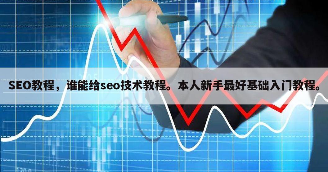 SEO教程,谁能给seo技术教程。本人新手最好基础入门教程。