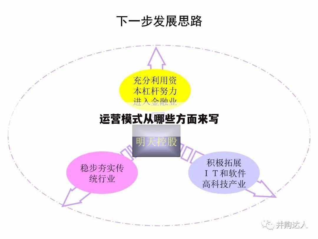 运营模式从哪些方面来写