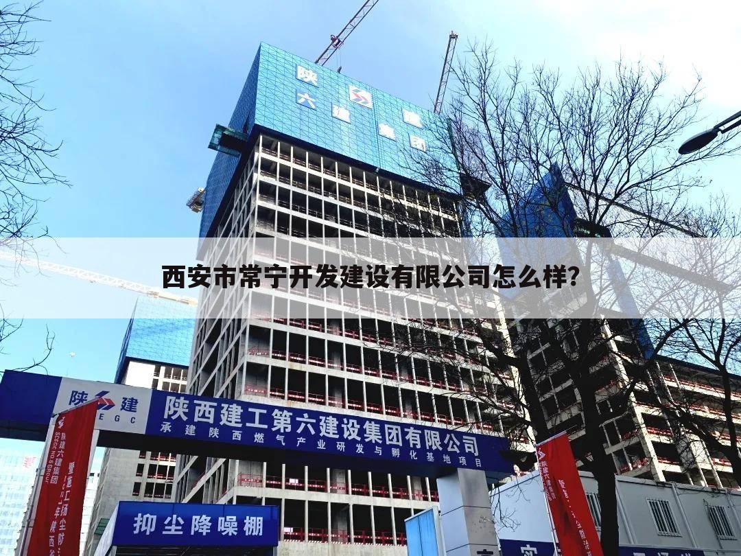 西安市常宁开发建设有限公司怎么样？