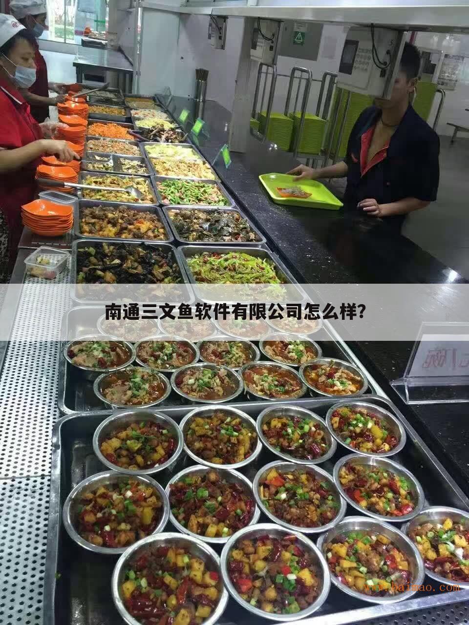 南通三文鱼软件有限公司怎么样？