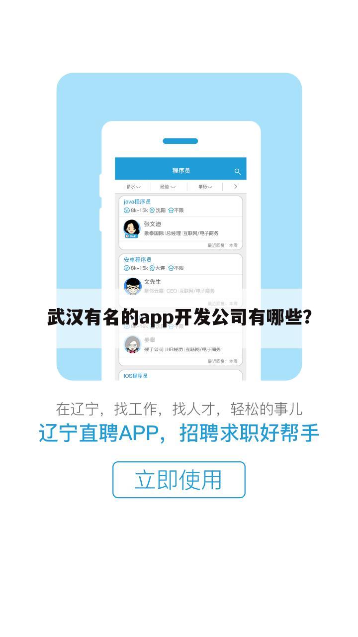 武汉有名的app开发公司有哪些?