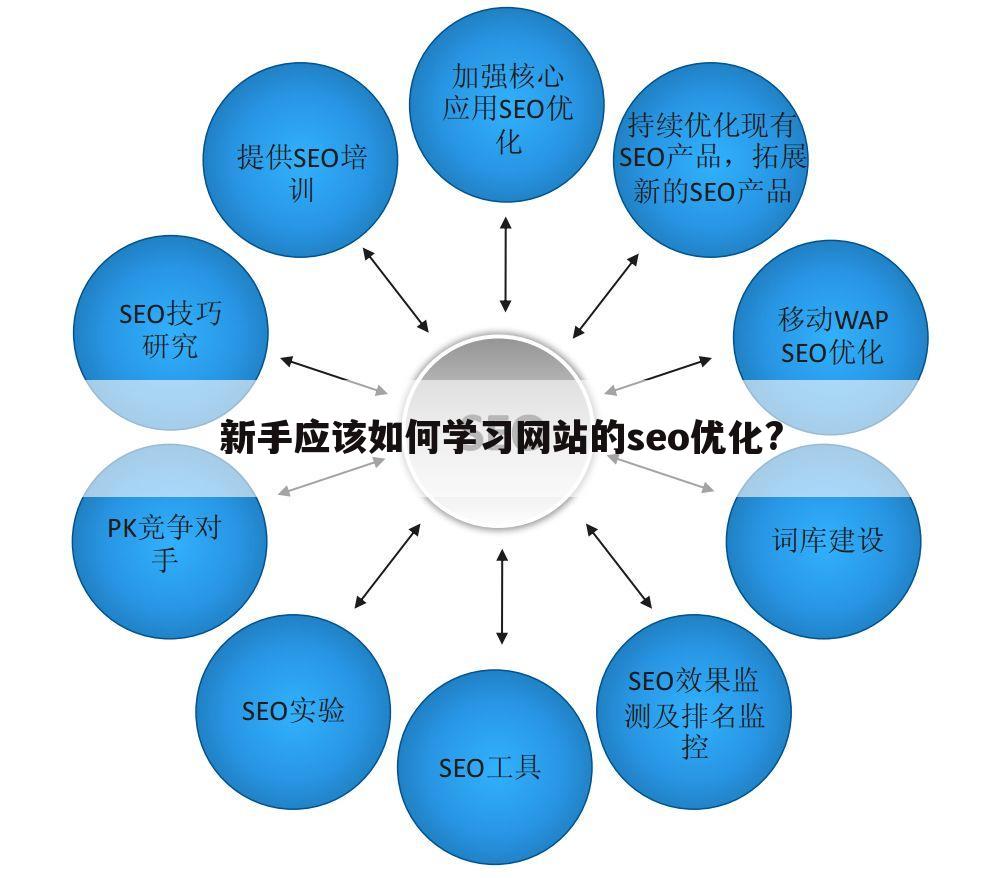 新手应该如何学习网站的seo优化?