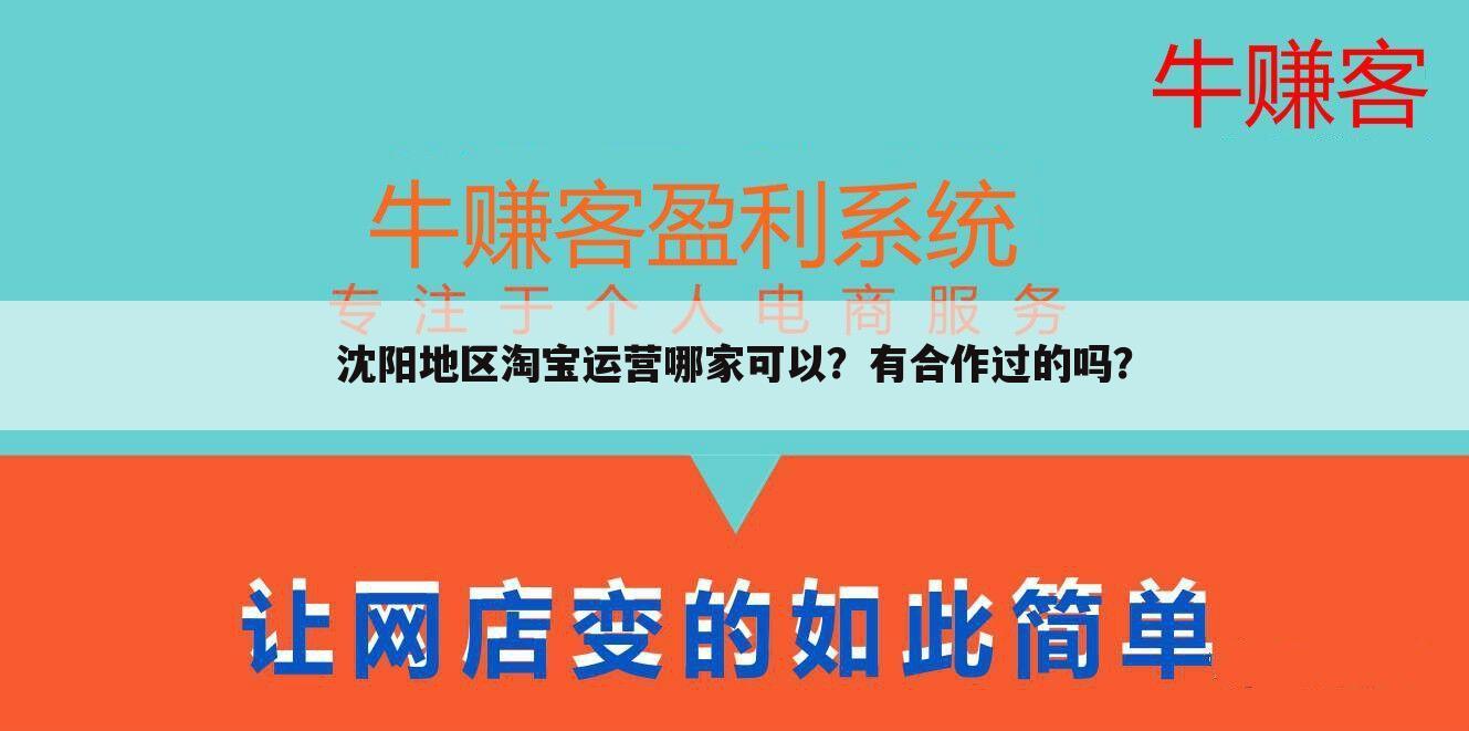 沈阳地区淘宝运营哪家可以？有合作过的吗？