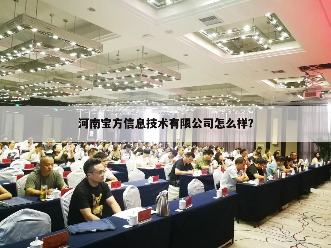 河南宝方信息技术有限公司怎么样？