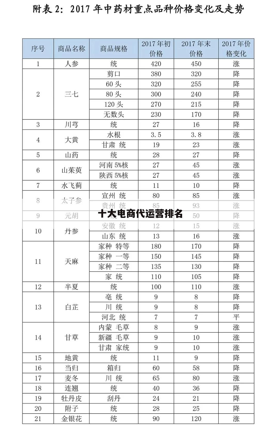 十大电商代运营排名