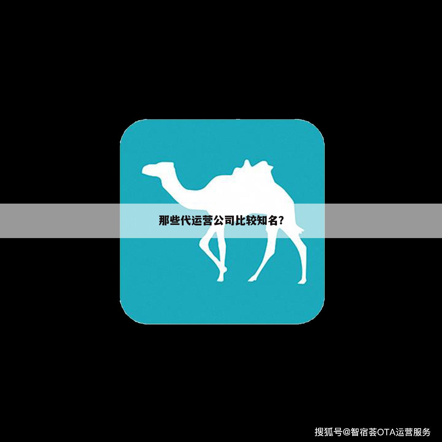 那些代运营公司比较知名?