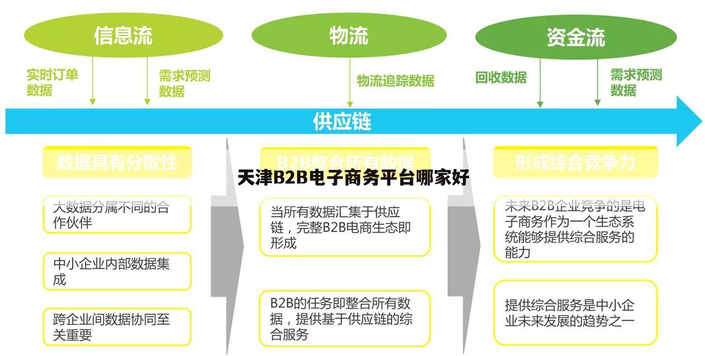 天津B2B电子商务平台哪家好