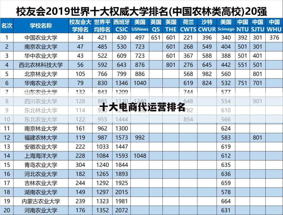 十大电商代运营排名