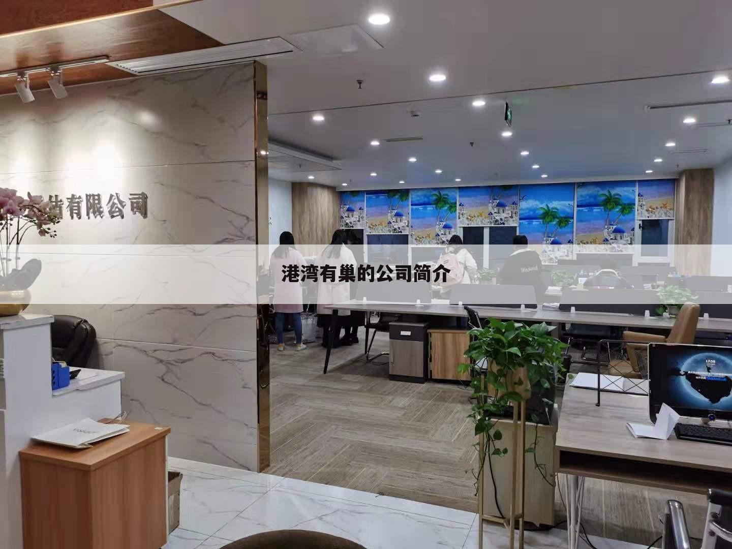 港湾有巢的公司简介