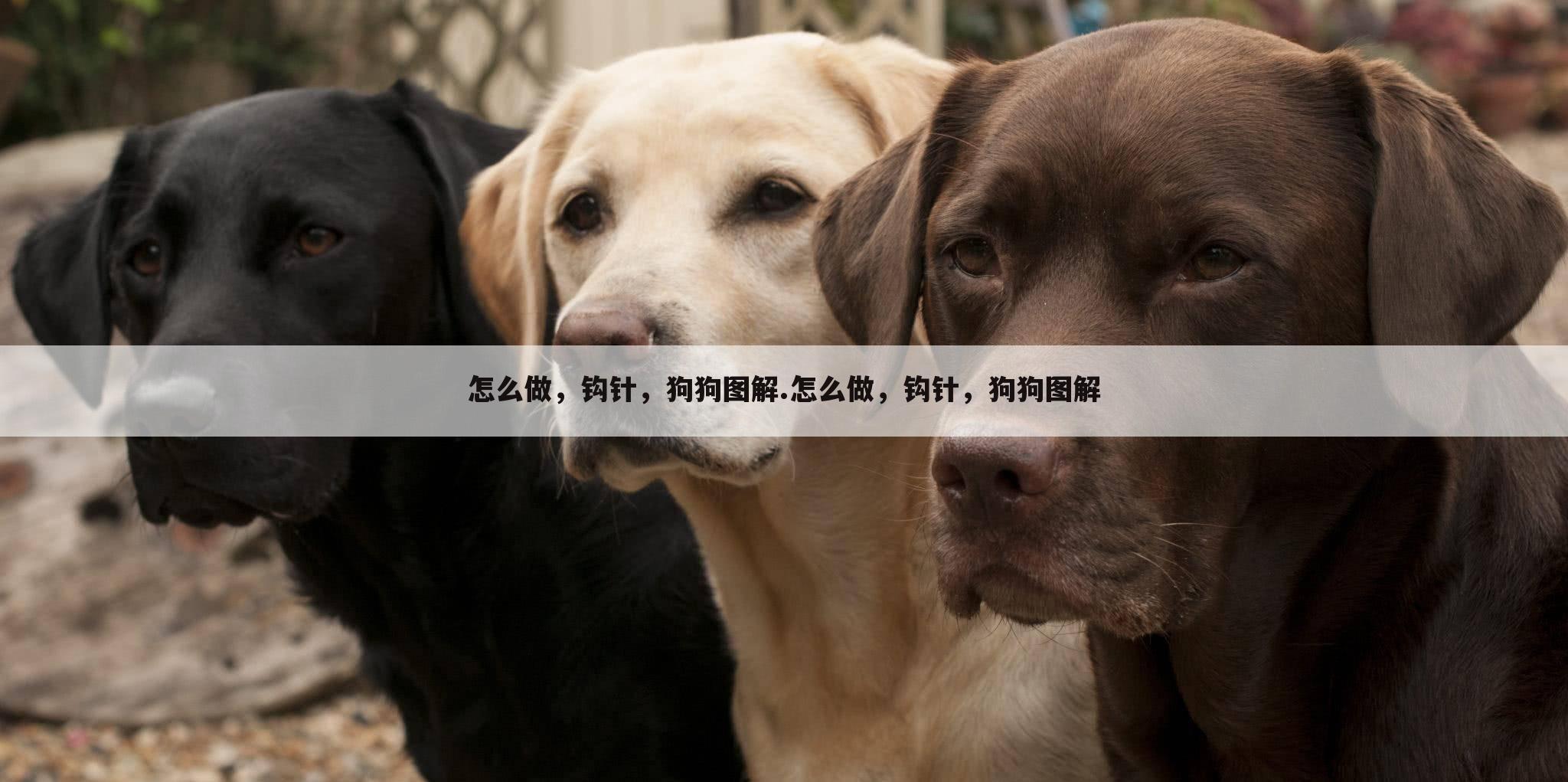 怎么做，钩针，狗狗图解.怎么做，钩针，狗狗图解