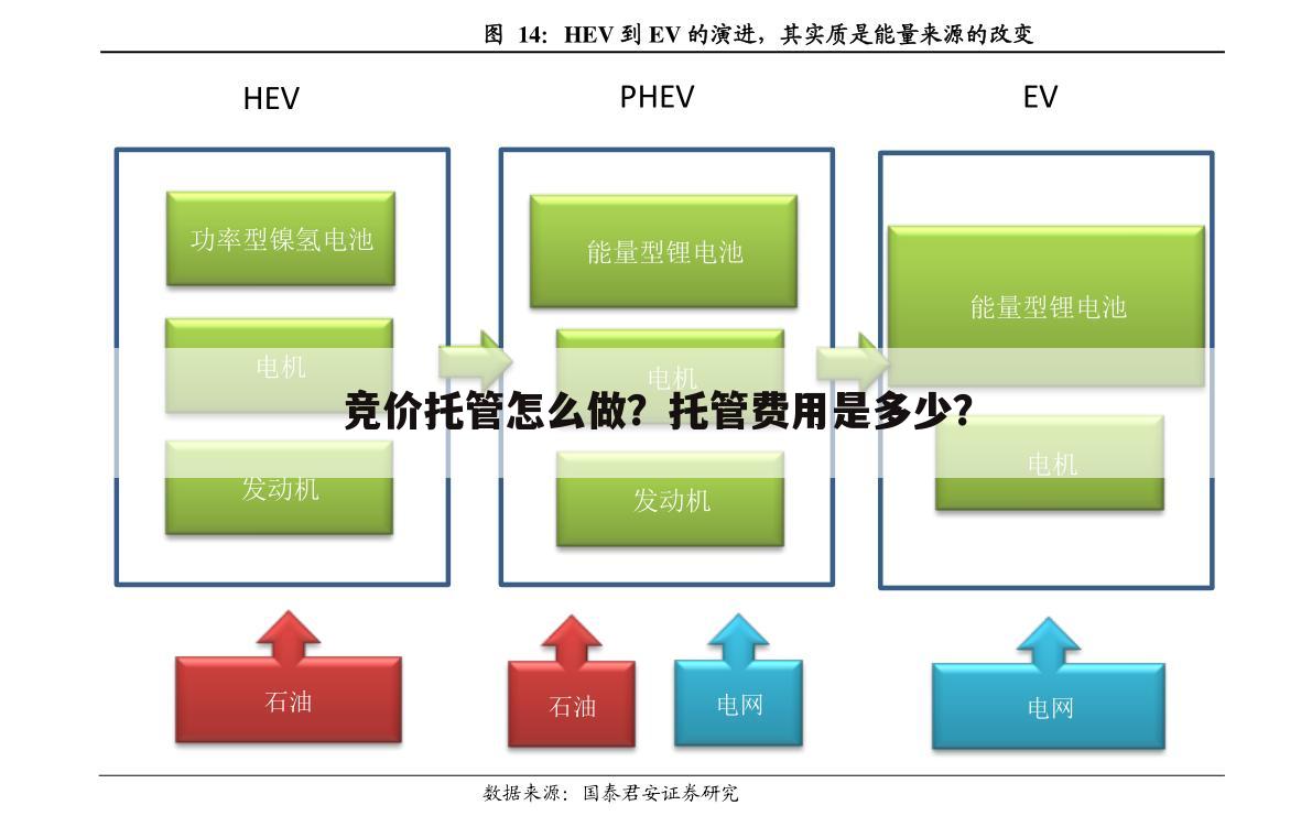 竞价托管怎么做?托管费用是多少?