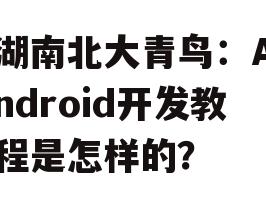 湖南北大青鸟：Android开发教程是怎样的？