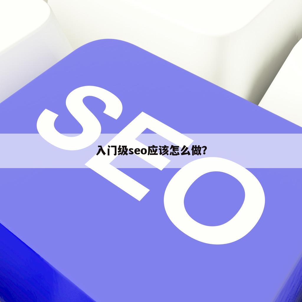 入门级seo应该怎么做？