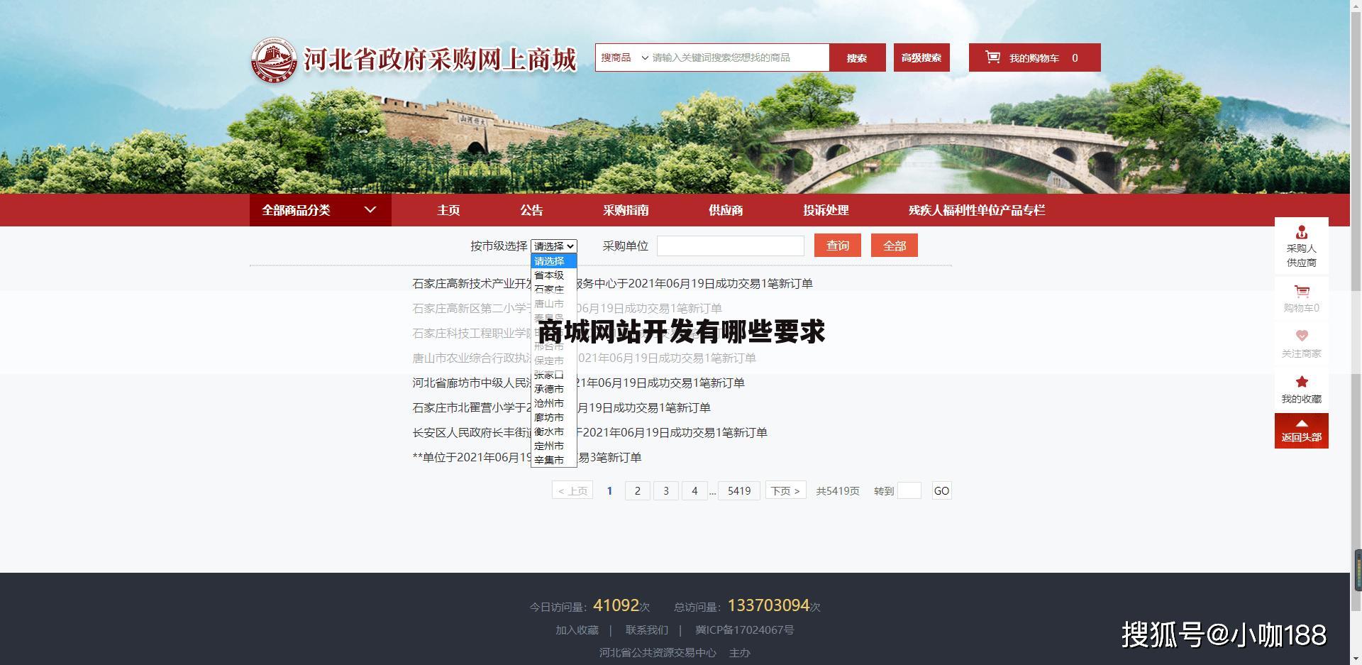 商城网站开发有哪些要求