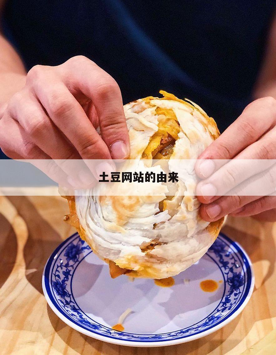 土豆网站的由来