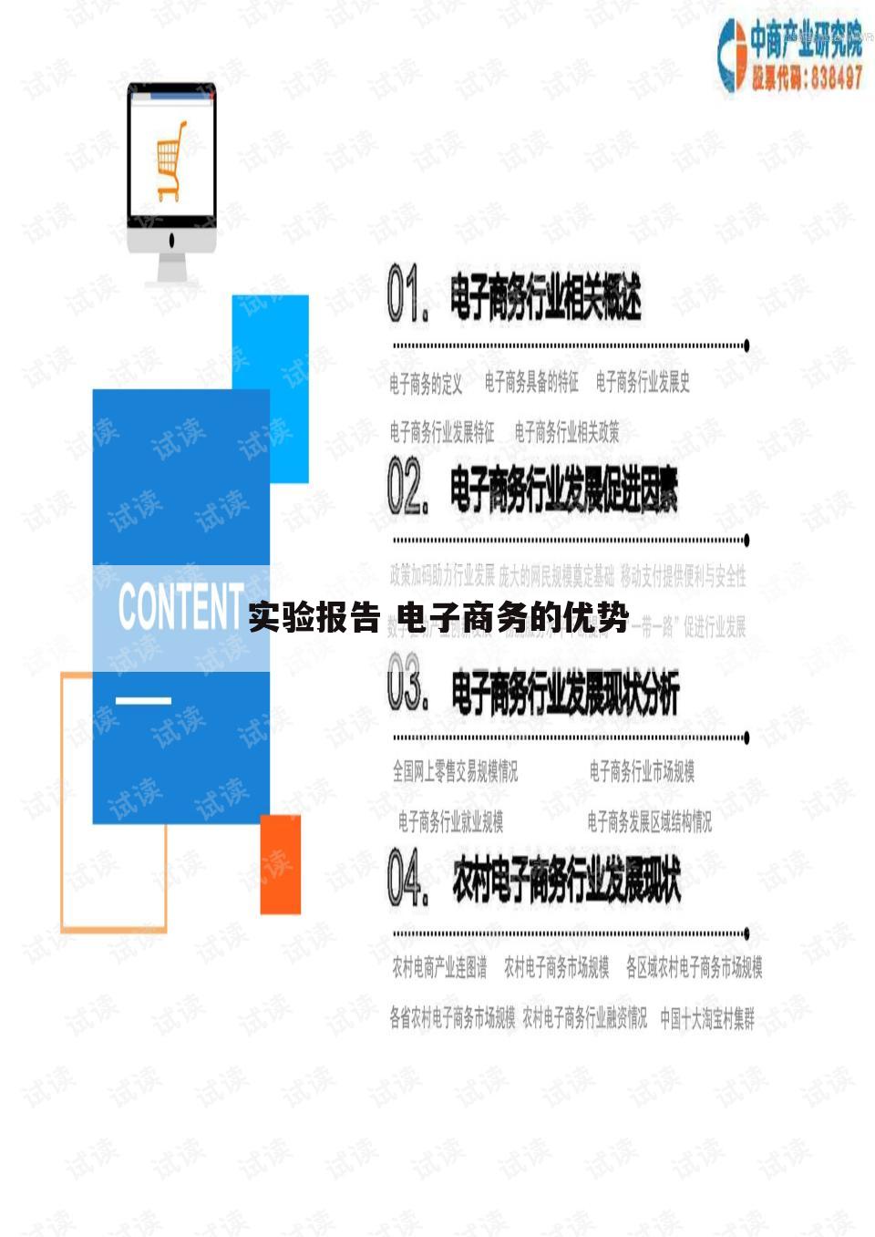 实验报告 电子商务的优势