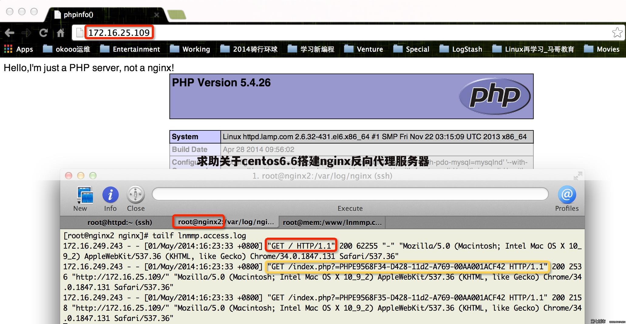 求助关于centos6.6搭建nginx反向代理服务器