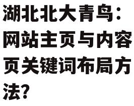 湖北北大青鸟：网站主页与内容页关键词布局方法？