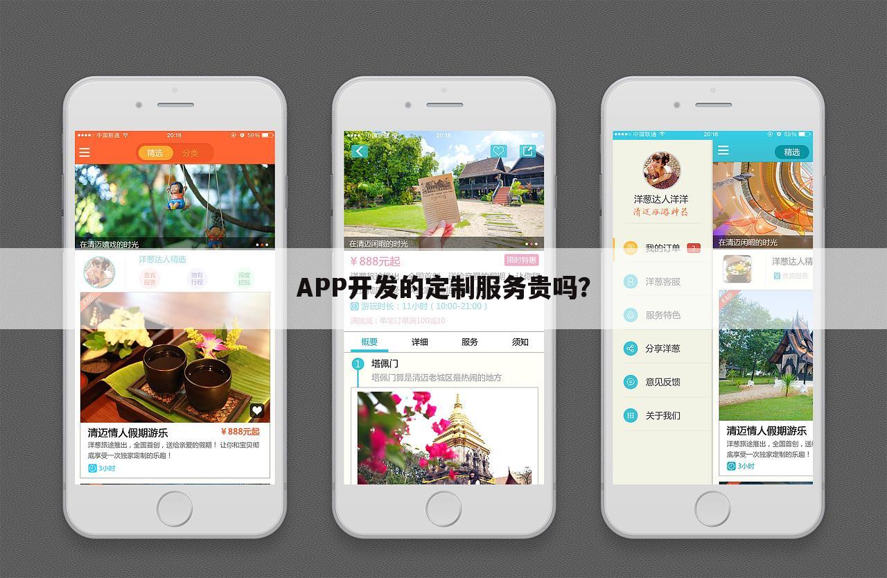 APP开发的定制服务贵吗?