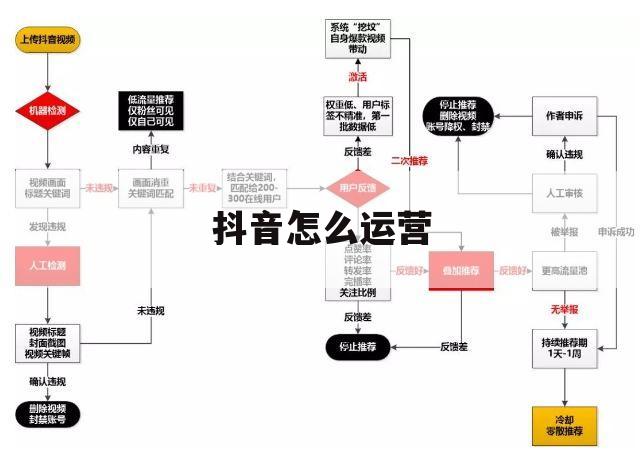 抖音怎么运营