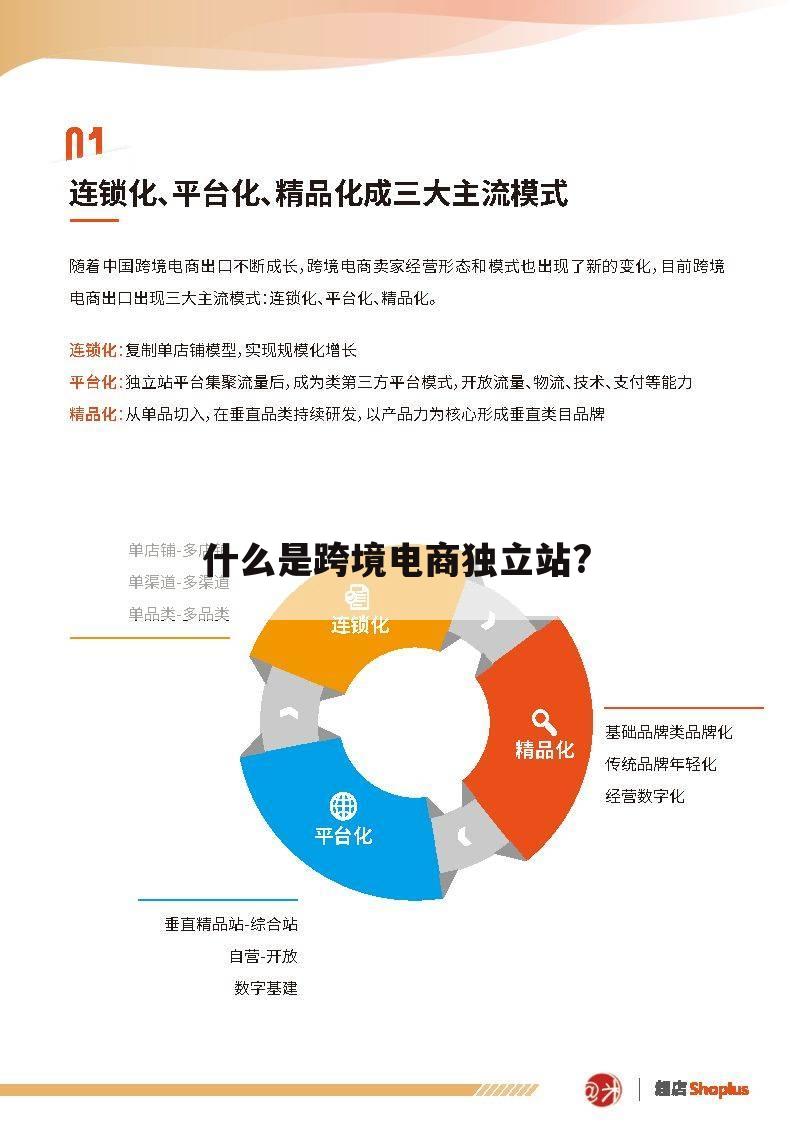 什么是跨境电商独立站?