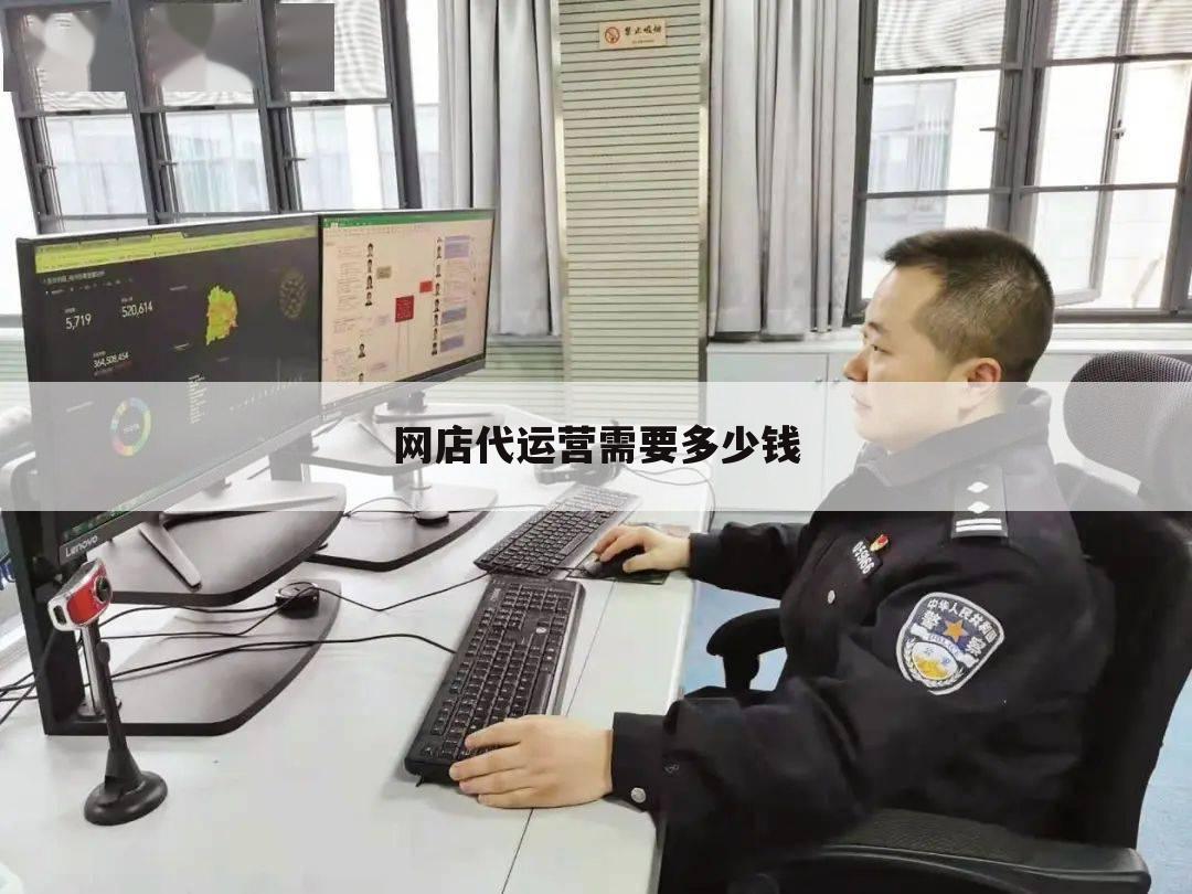网店代运营需要多少钱