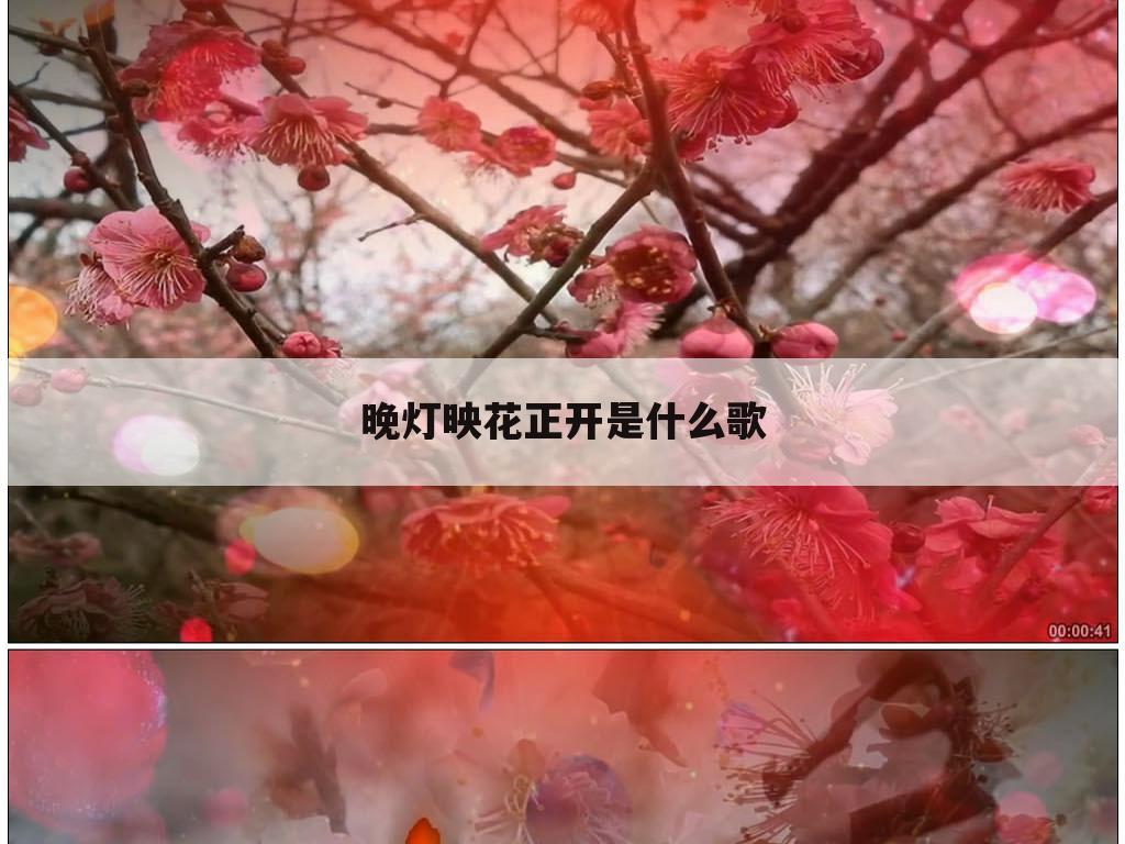 晚灯映花正开是什么歌