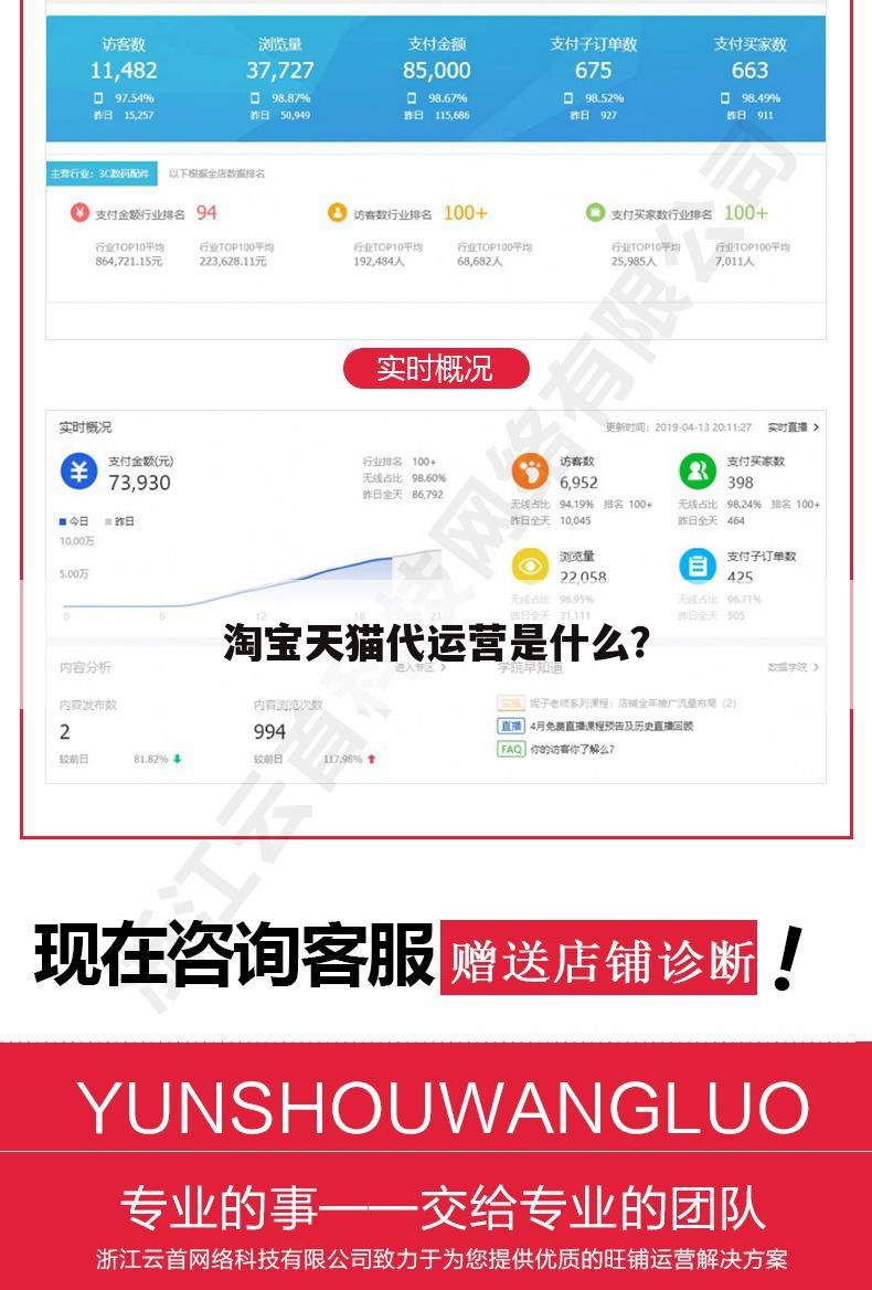 淘宝天猫代运营是什么?