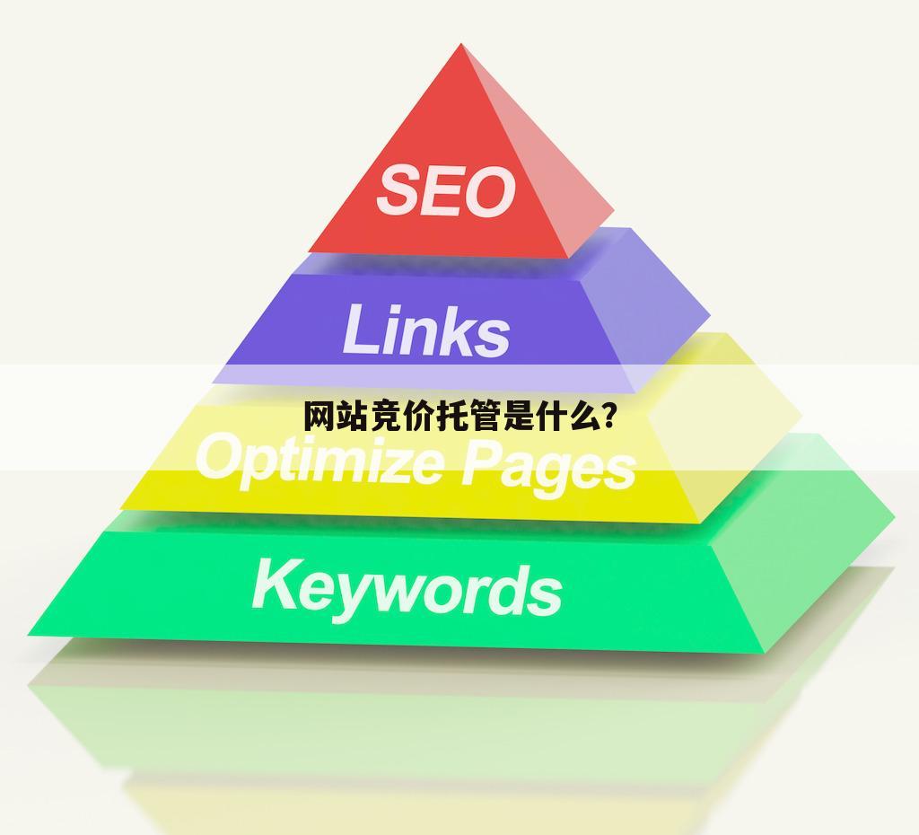 网站竞价托管是什么?