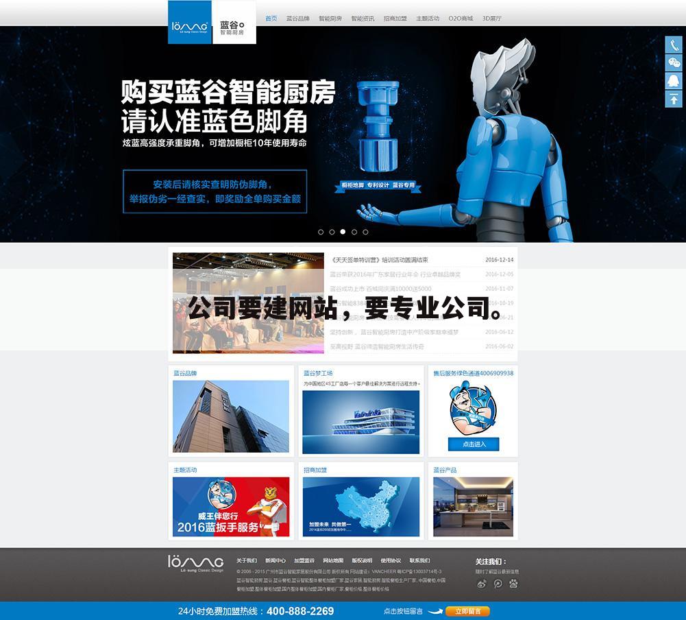 公司要建网站，要专业公司。