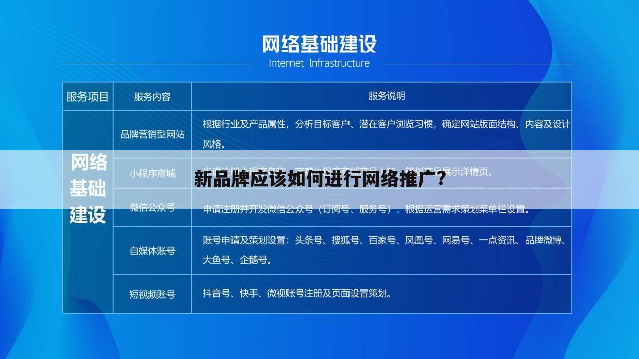 新品牌应该如何进行网络推广?
