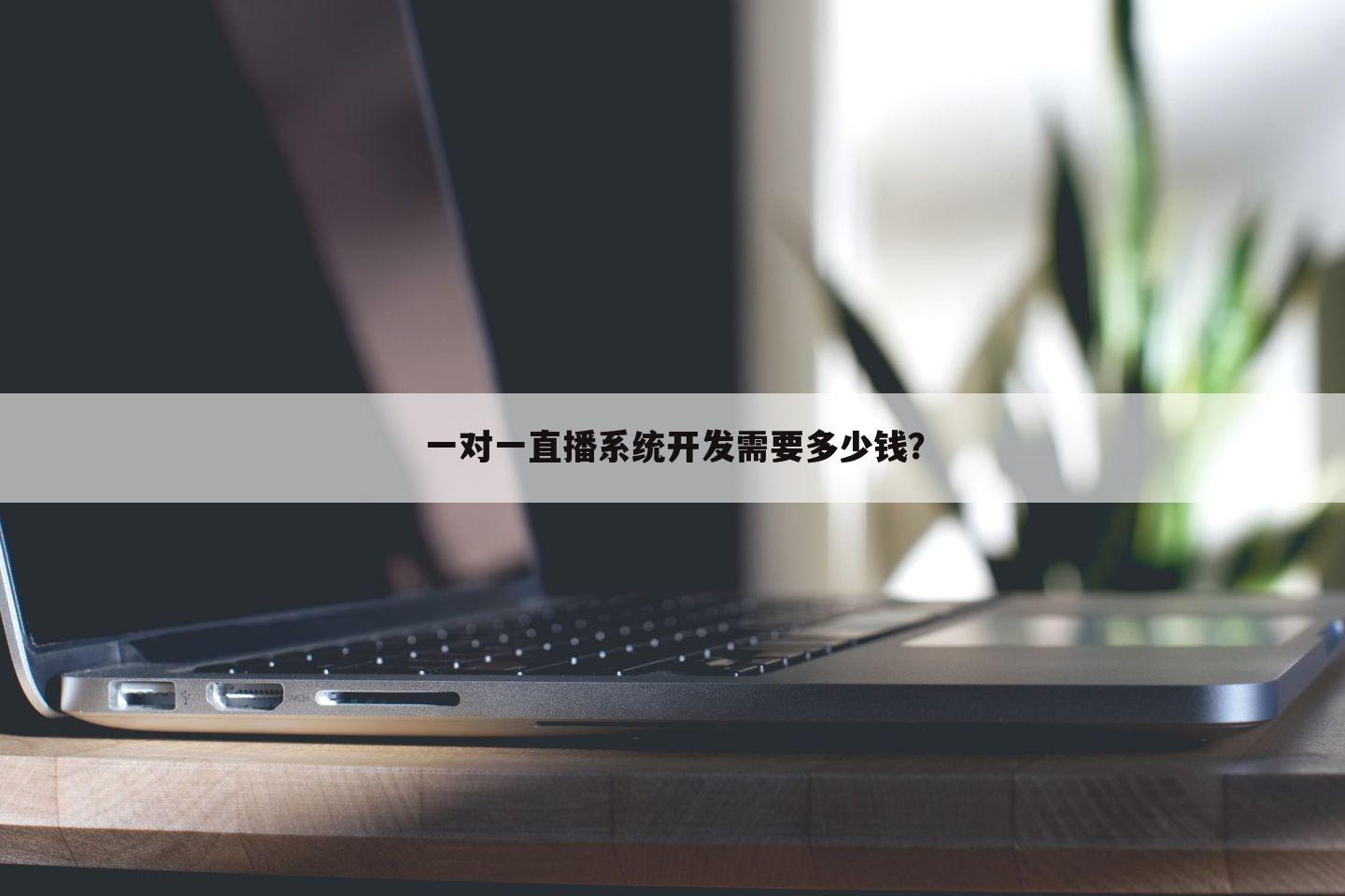 一对一直播系统开发需要多少钱?