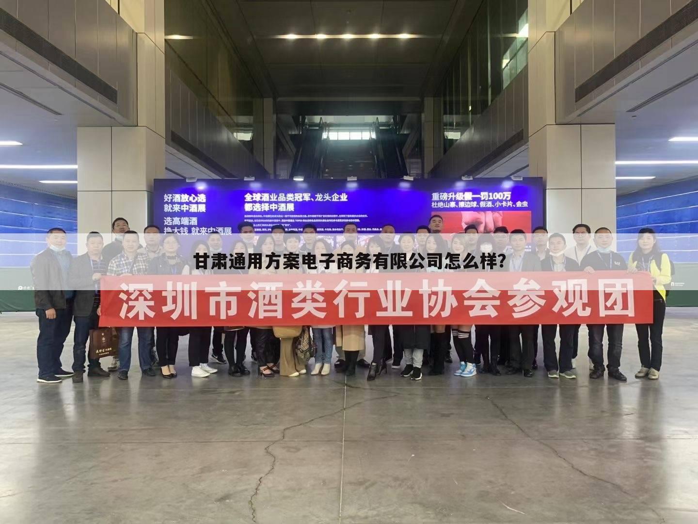 甘肃通用方案电子商务有限公司怎么样？