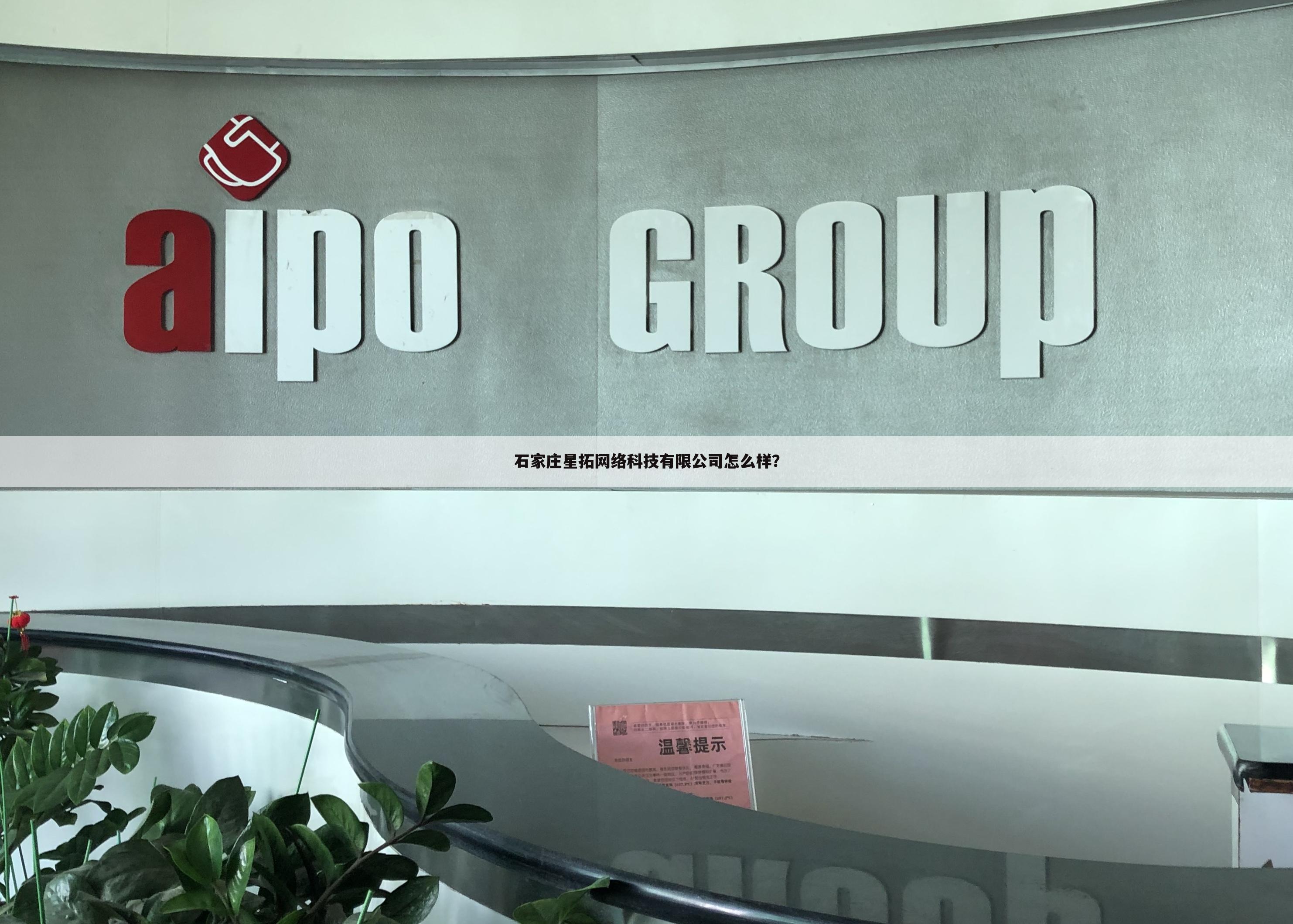 石家庄星拓网络科技有限公司怎么样?