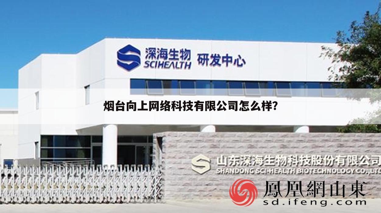 烟台向上网络科技有限公司怎么样?