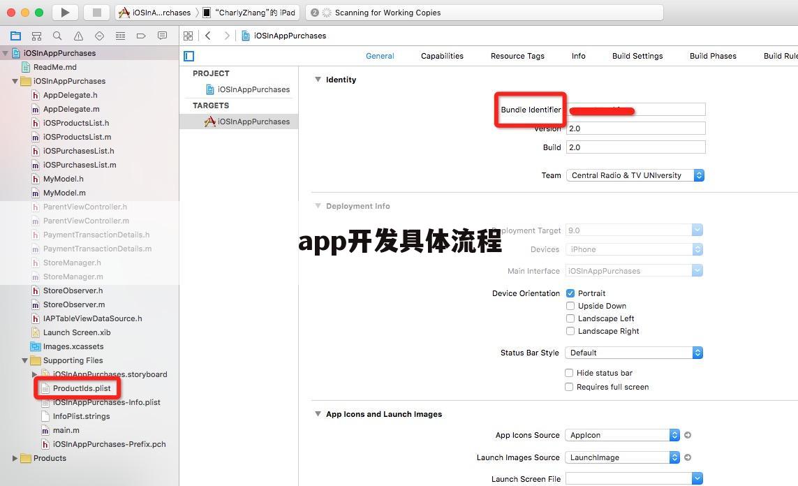 app开发具体流程