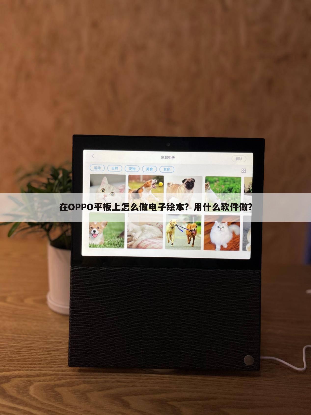 在OPPO平板上怎么做电子绘本?用什么软件做?