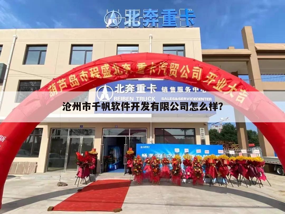 沧州市千帆软件开发有限公司怎么样?