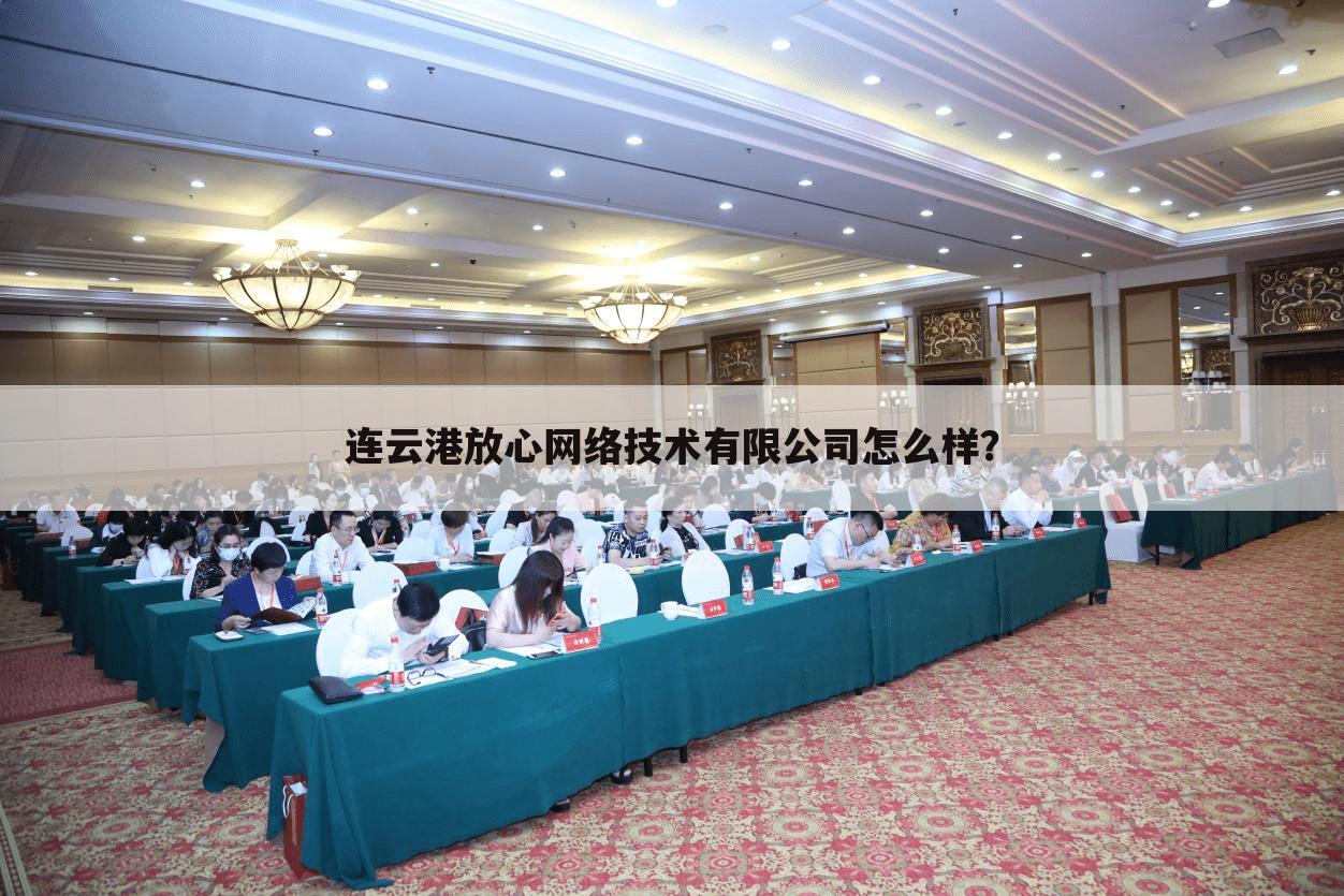 连云港放心网络技术有限公司怎么样？