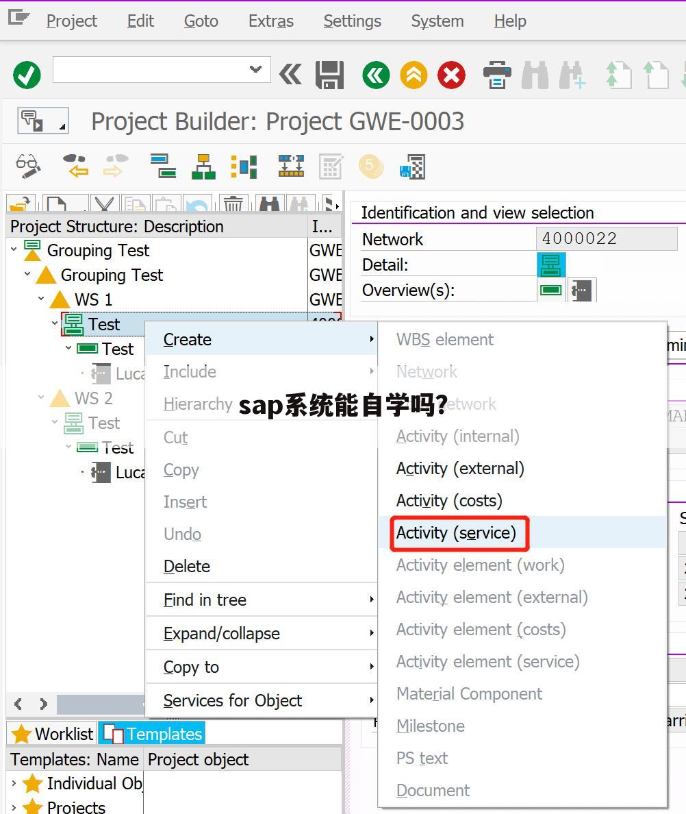 sap系统能自学吗?