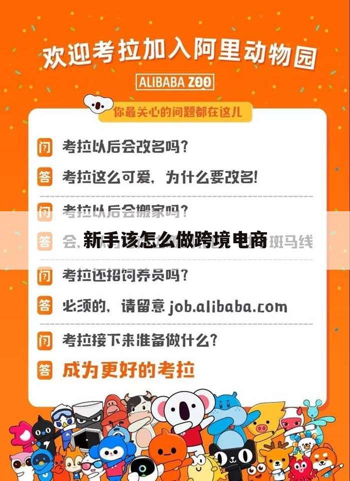 新手该怎么做跨境电商