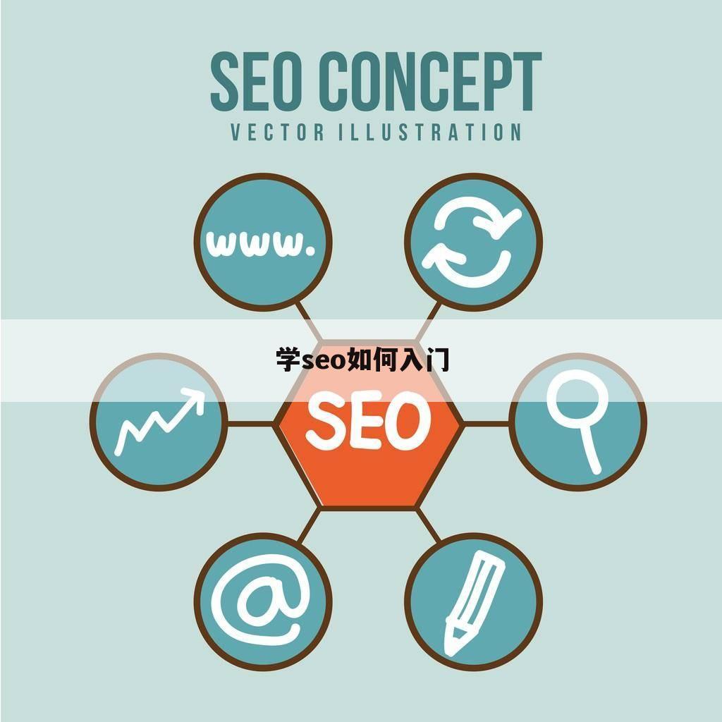 学seo如何入门