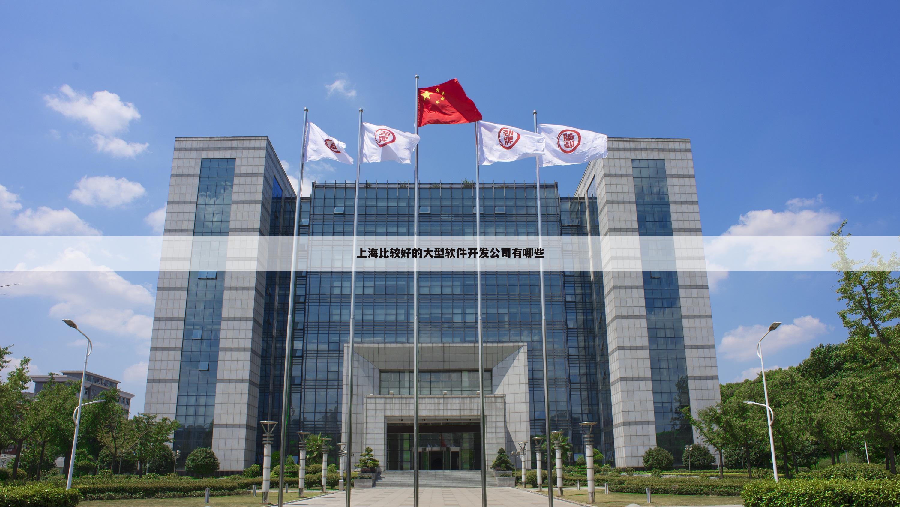上海比较好的大型软件开发公司有哪些