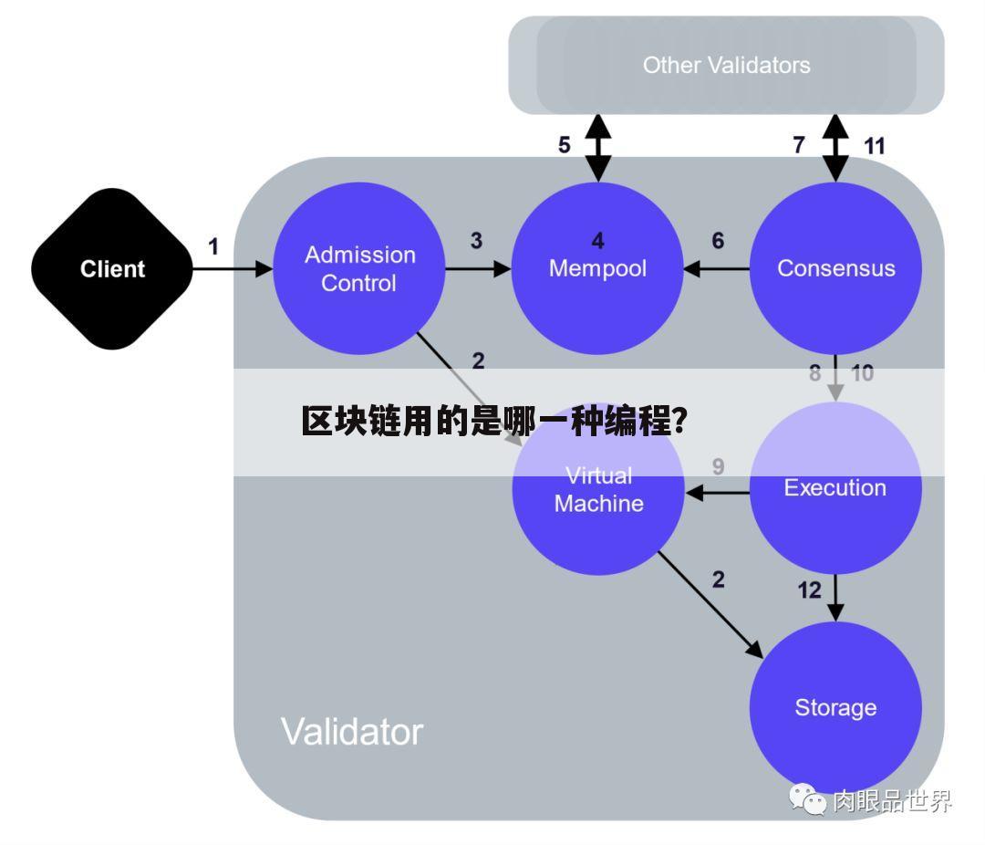 区块链用的是哪一种编程？