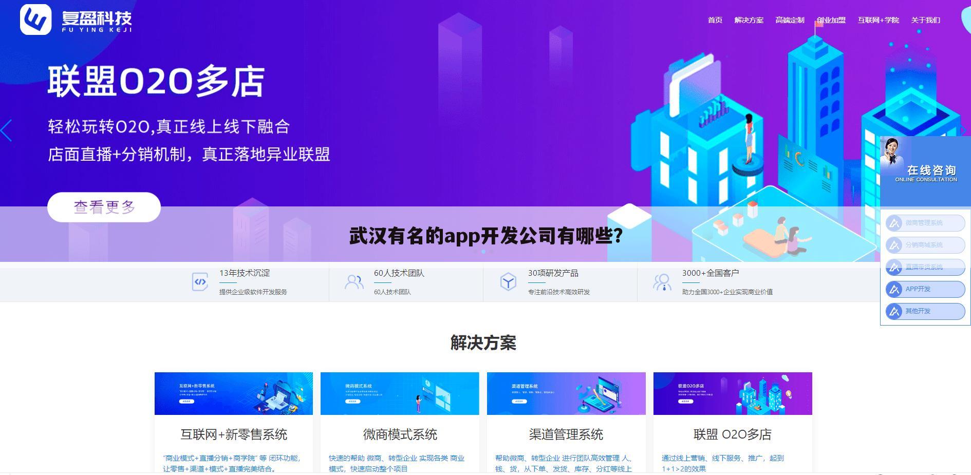 武汉有名的app开发公司有哪些?