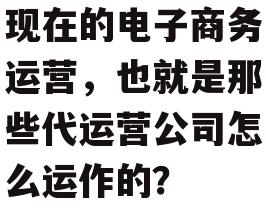 现在的电子商务运营,也就是那些代运营公司怎么运作的?