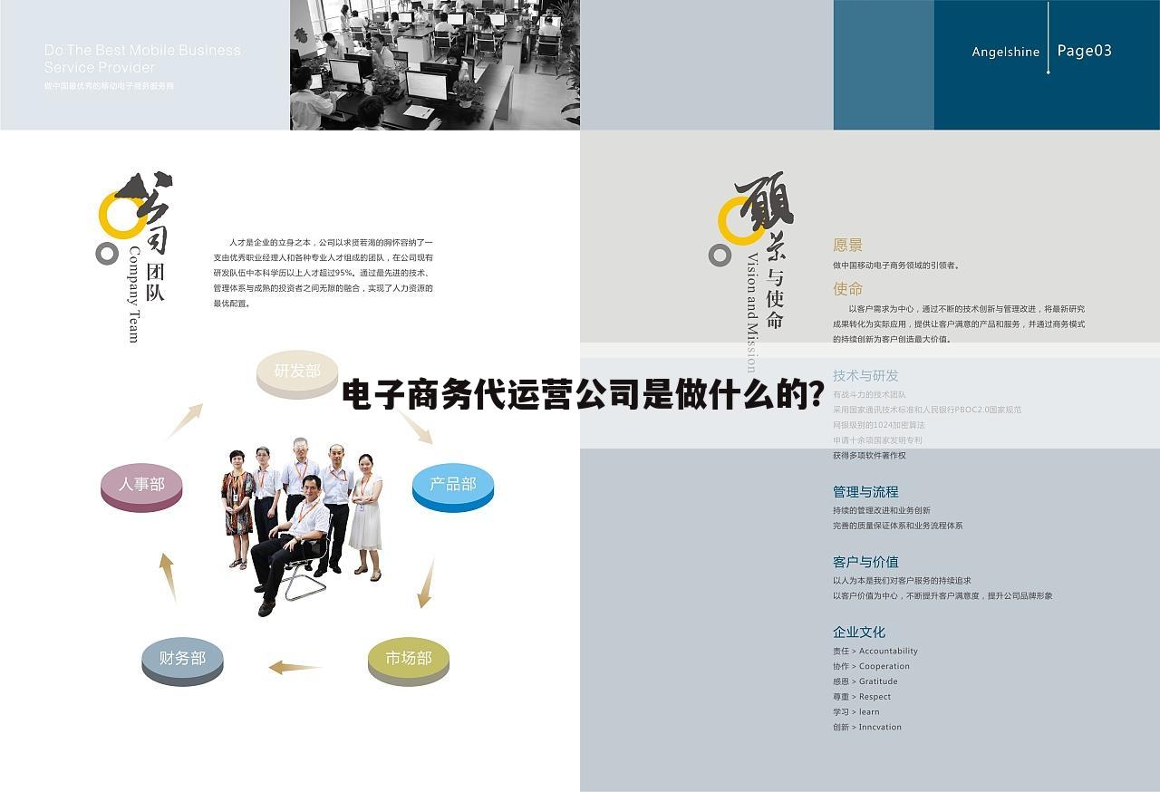 电子商务代运营公司是做什么的?