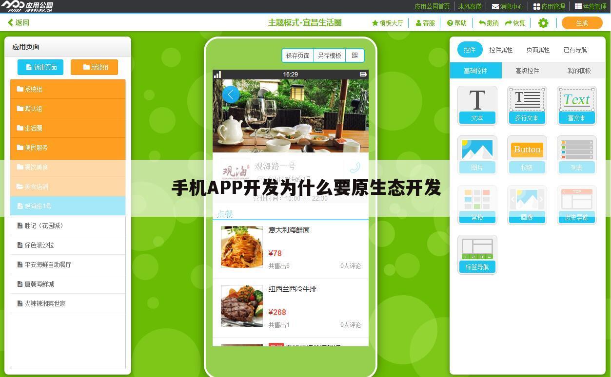 手机APP开发为什么要原生态开发