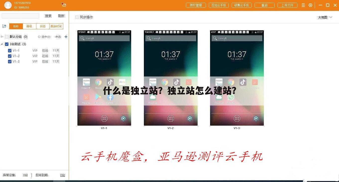 什么是独立站?独立站怎么建站?