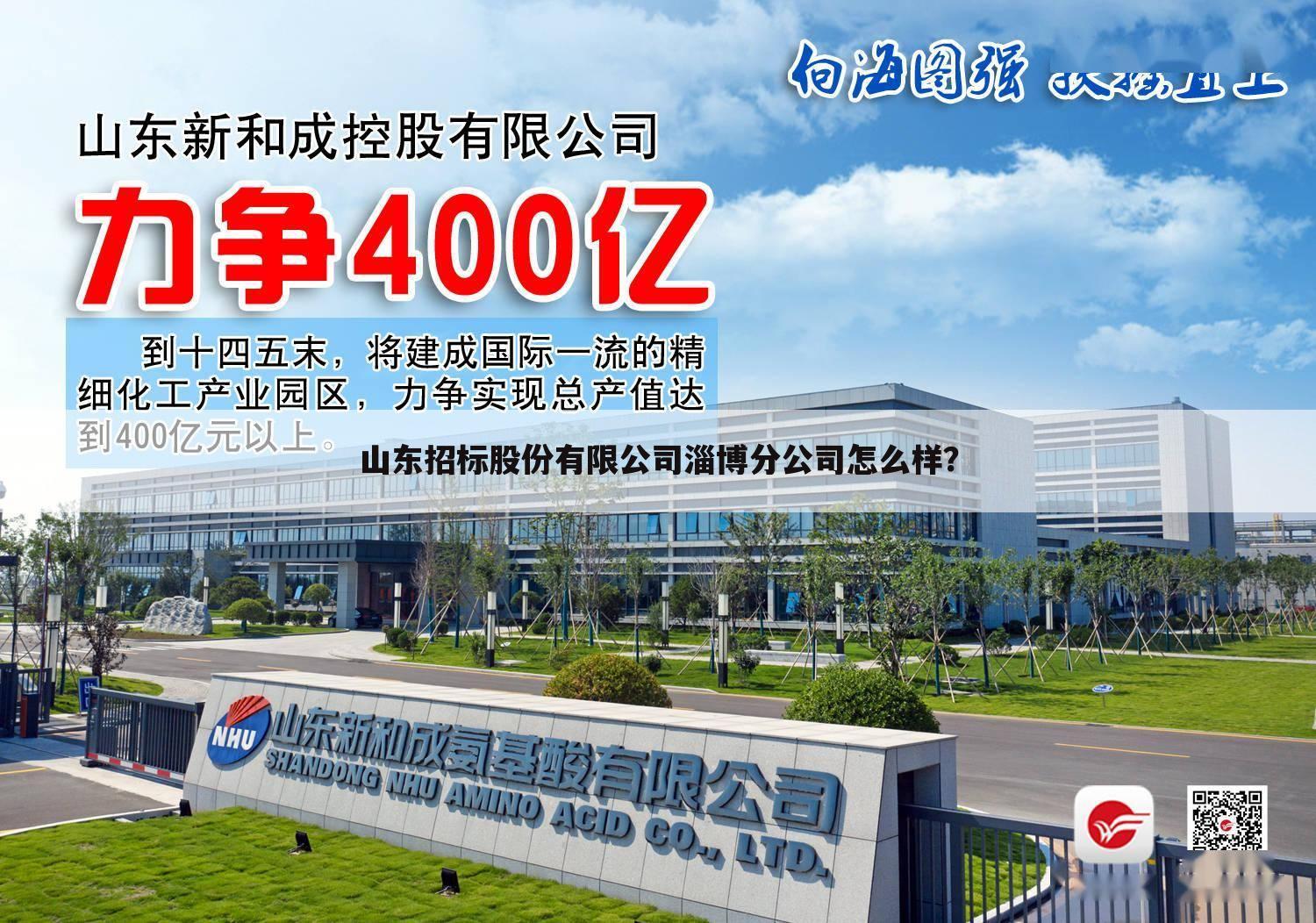 山东招标股份有限公司淄博分公司怎么样?